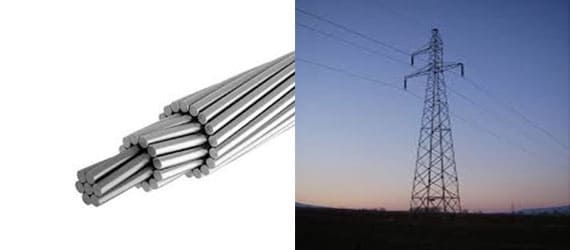 Zebra झेब्रा Conductor 420 mm2