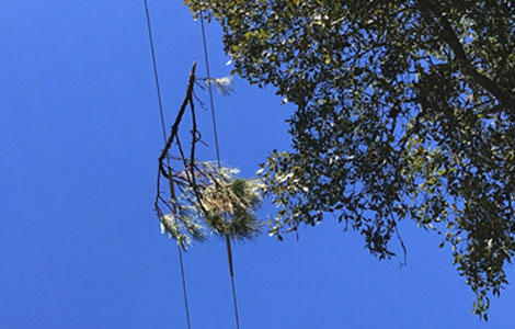 overhead line underground cable