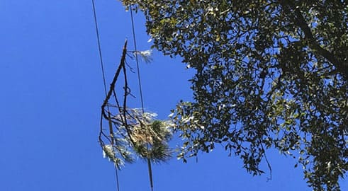 reasons-of-ct-pt-blast-08